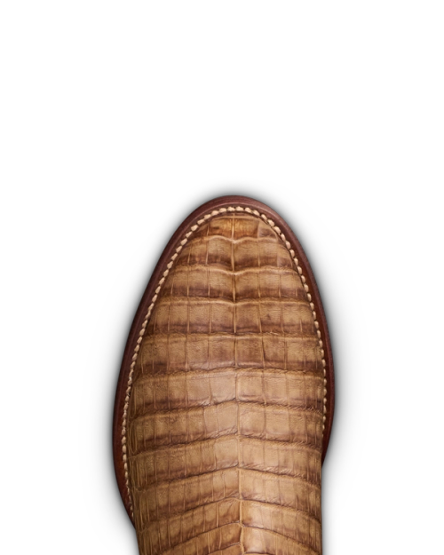 0fd35f272bf65fcc1f64d94a20ac2dc40bc8ef19-2000x2500-1.png