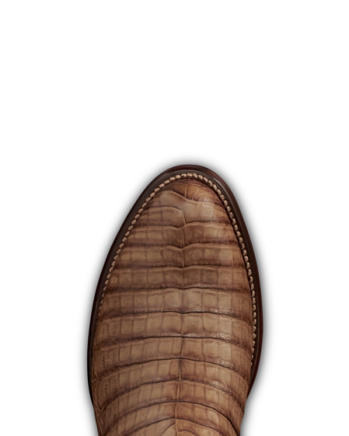 3dfbd86b11c9721a059fd5d64bcca5c62e4043b6-2000x2500-1.png