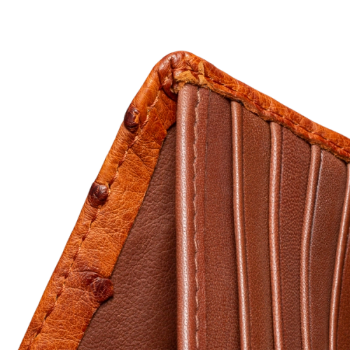 98a2a7060c140b949ed55f999d8c6a2fcc8b5ccb-2000x2000-1.png