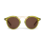 Cactus 18K