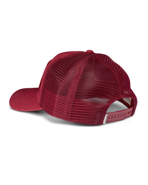 bea8ce7f7ea7ccd5d471b302213b8eb00b35a74c-2000x2500-2.png