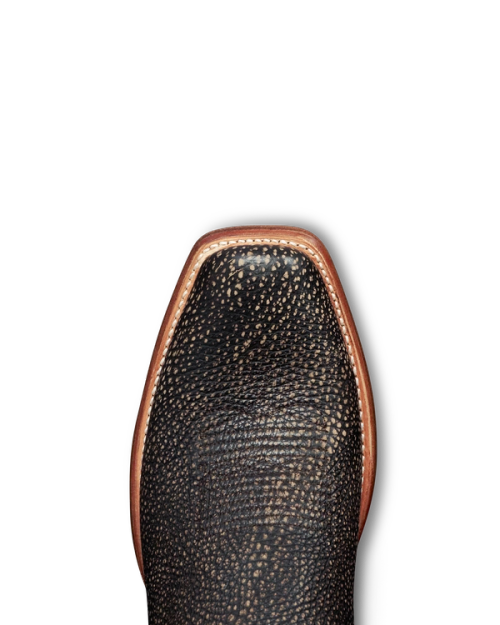 e70c3a3f1e8e3efeca5f21f196dadb13a7685a71-2000x2500-2.png